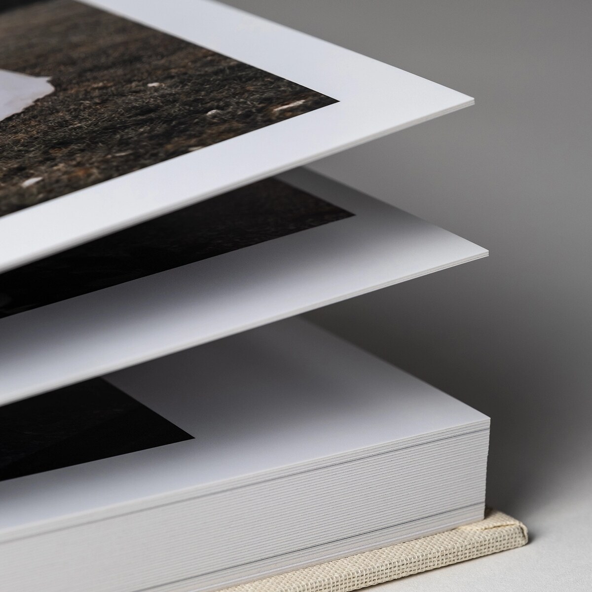 Pages d’album ouvertes avec photos