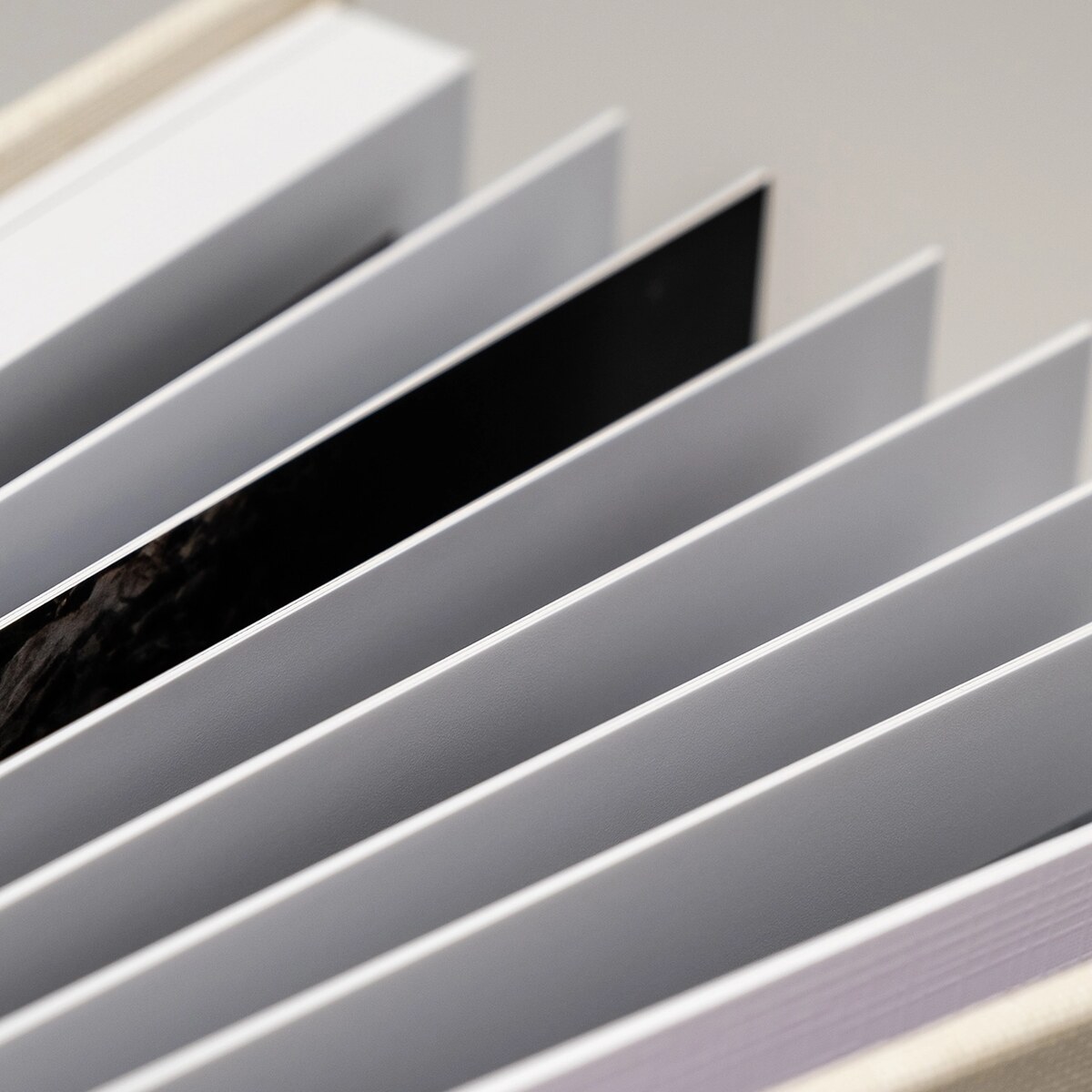 Album feuilleté, page noir et blanc